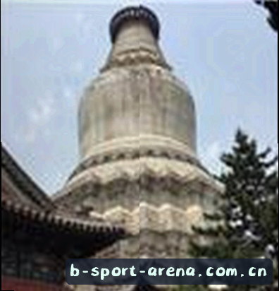陈总